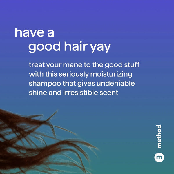 Moisturizing Shampoo, Simply Nourish - 2 packs - 14Fl oz per pack - plus 3 My Outlet Mall Resealable Storage Pouches
