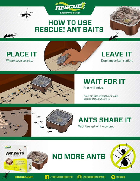 Indoor Ant Killer Child-Resistant Bait Stations - 1 pack - plus 3 My Outlet Mall Resealable Storage Pouches