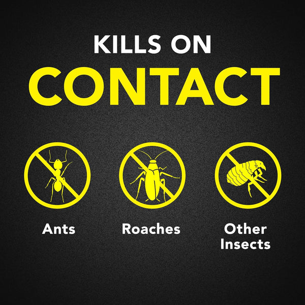 Ant & Roach Killer, Indoor Insecticide Spray, Fragrance-Free - 3 packs - 17.5 oz per pack - plus 3 My Outlet Mall Resealable Storage Pouches