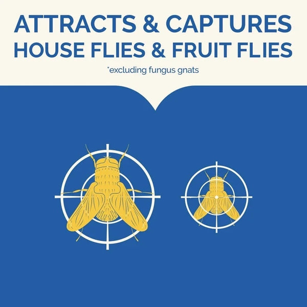 Flying Insect Trap, Attracts and Captures House and Fruit Flies - 2 packs - 2 Count - plus 3 My Outlet Mall Resealable Storage Pouches