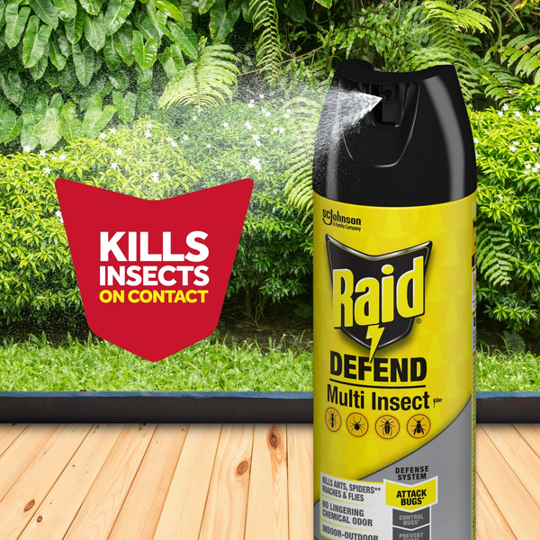 Defend Multi Insect, Indoor and Outdoor Ants, Roaches, Spiders and Flies Insect Killer Bug Spray - 1 pack - 15 oz per pack plus 3 My Outlet Mall Resealable Storage Pouches