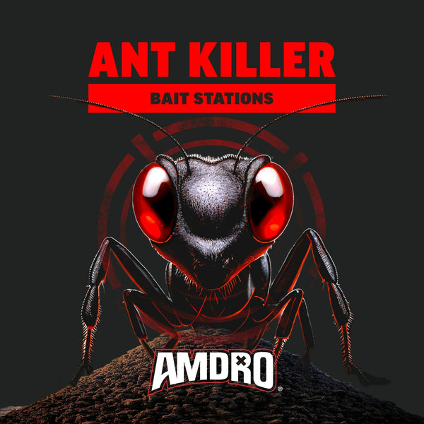 Ant Kills Ant Killer Bait Station - 2 packs - plus 3 My Outlet Mall Resealable Storage Pouches