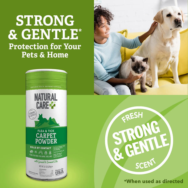 Flea and Tick Carpet Powder Canister - 1 pack - 8.1 oz per pack - plus 3 My Outlet Mall Resealable Storage Pouches
