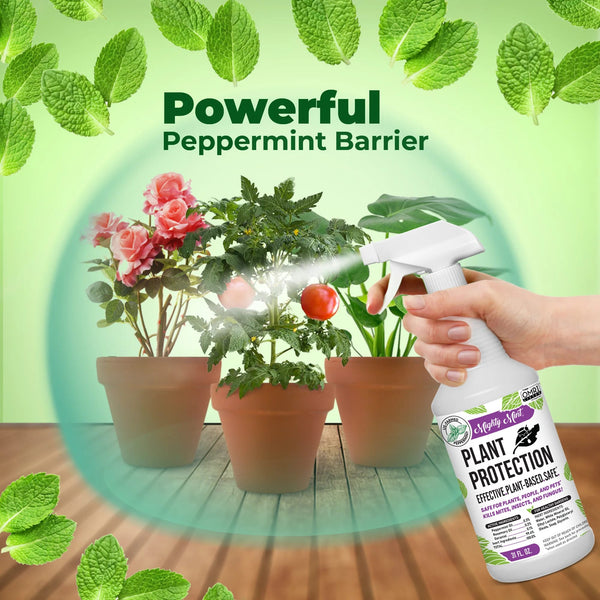 Plant Protection Pest Spray Peppermint for Spider Mites, Fungus, Insects -  2 packs - 31 oz per pack - plus 3 My Outlet Mall Resealable Storage Pouches