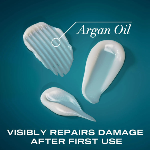 Renewing + Argan Oil of Morocco Nourishing Daily Conditioner - 2 packs - 13Fl oz per pack - plus 3 My Outlet Mall Resealable Storage Pouches