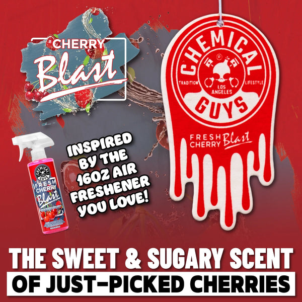 Hanging Air Freshener Variety, Black Frost, Cherry Blast, Pina Colada - 2 packs - 3 count per pack - plus 3 My Outlet Mall Resealable Storage Pouches