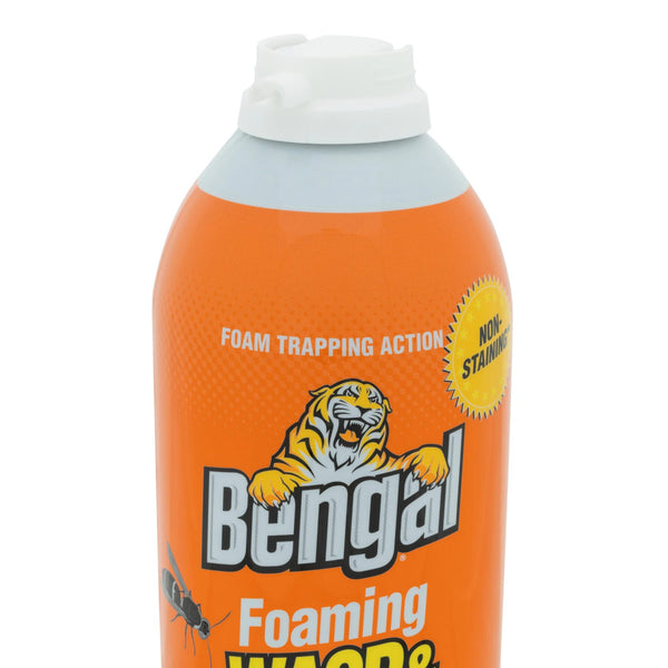 Foaming Wasp & Hornet Killer, Aerosol Can - 1 pack - 16 oz per pack - plus 3 My Outlet Mall Resealable Storage Pouches