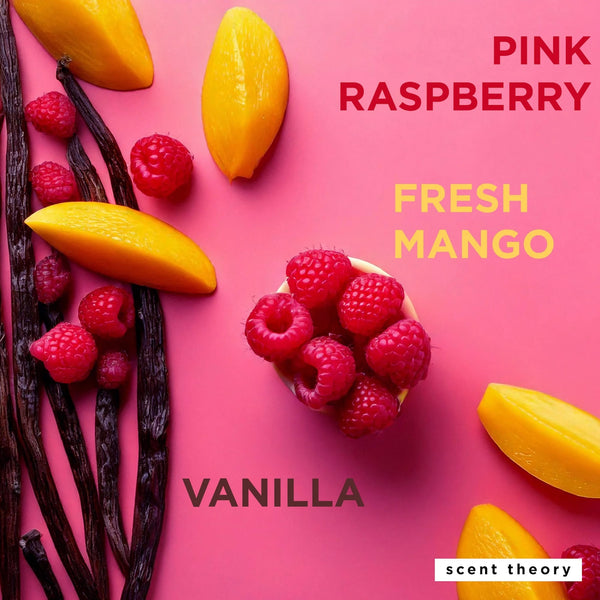 Hand Sanitizer Spray, Raspberry Mango - 2 packs - 1fl oz per pack - plus 3 My Outlet Mall Resealable Storage Pouches