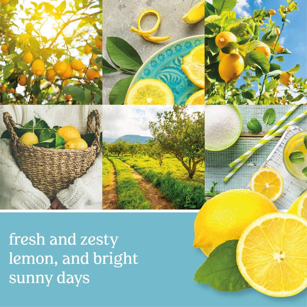 Candle Sicilian Lemon Original Large Scented Jar Candle - 3 packs - 22 oz per pack - plus 3 My Outlet Mall Resealable Storage Pouches