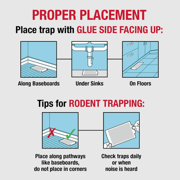 Mouse & Insect Solid Glue Board Traps Ready and Safe to Use Indoors - 1 pack - 4 Count - plus 3 My Outlet Mall Resealable Storage Pouches