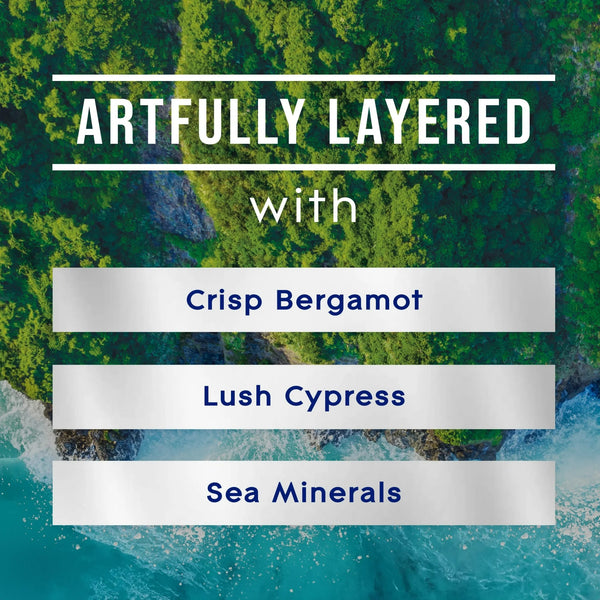 Sea Mist & Cypress, Fresh Collection Candles, 2 Candles - 1 pack - plus 3 My Outlet Mall Resealable Storage Pouches