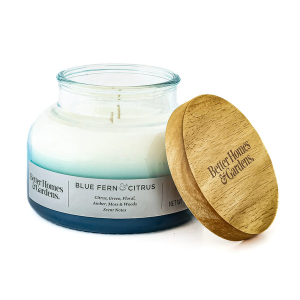 Blue Fern & Citrus Scented 2-Wick Ombre Bell Jar Candle - 2 packs - 18 oz per pack - plus 3 My Outlet Mall Resealable Storage Pouches