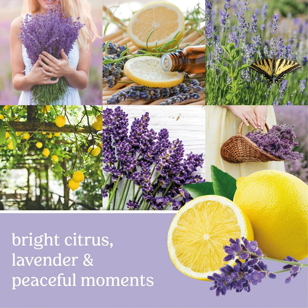 Candle Lemon Lavender ScentPlug Refill - 1 pack - 0.625 oz per pack - plus 3 My Outlet Mall Resealable Storage Pouches