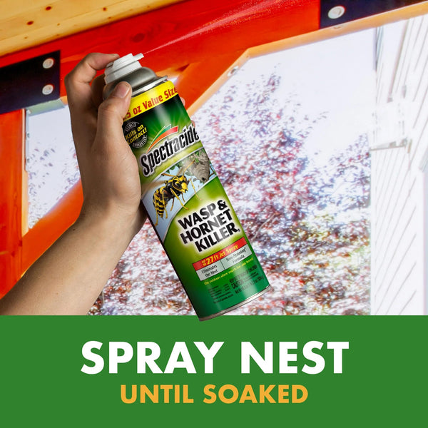 Wasp & Hornet Killer Aerosol, Non-Staining Formula - 1 pack - 18.5oz per pack - plus 3 My Outlet Mall Resealable Storage Pouches