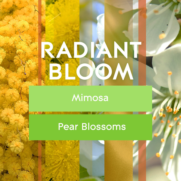 PlugIns Scented Oil Air Freshener, Radiant Bloom Limited Edition, 3.35 oz - 2 packs - 5 Count  per pack - plus 3 My Outlet Mall Resealable Storage Pouches