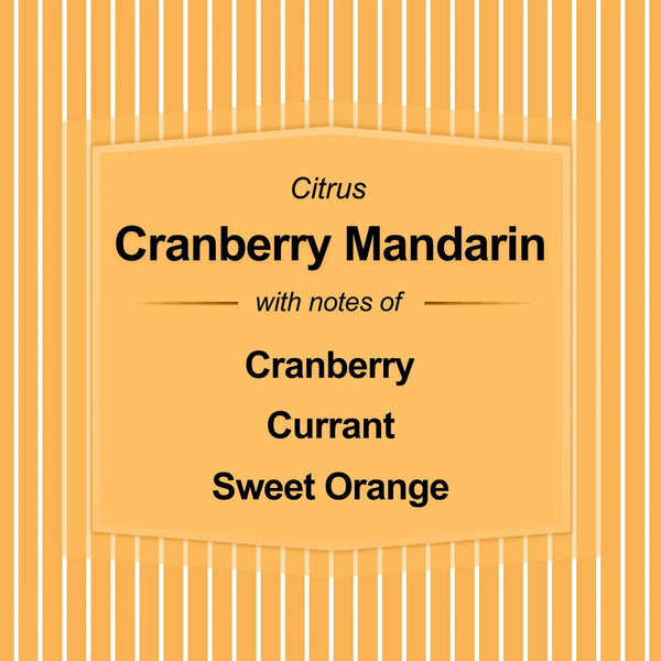 3-Wick Textured Wrapped Cranberry Mandarin Scented Candle - 1 pack - 14 oz per pack - plus 3 My Outlet Mall Resealable Storage Pouches