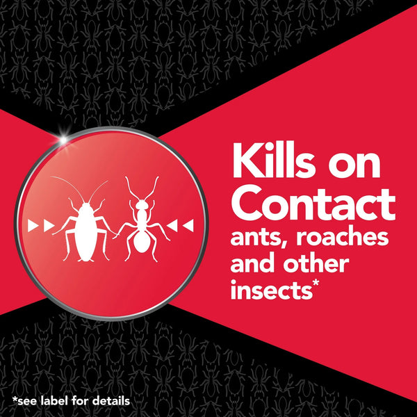 Indoor Ant and Roach Insecticide, Insect Killer - 1 pack - 14.5 oz per pack - plus 3 My Outlet Mall Resealable Storage Pouches