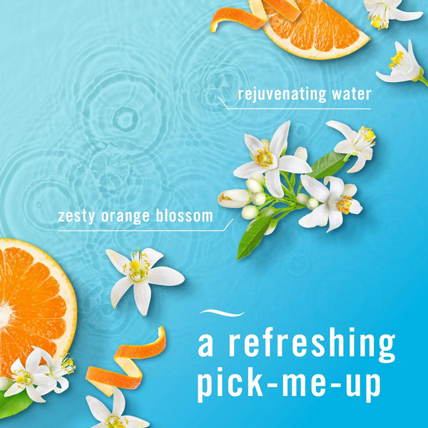 Air Freshener Spray, Odor-Fighting Room Spray, Refresh & Energize - 2 packs - 8.8 oz per pack - plus 3 My Outlet Mall Resealable Storage Pouches