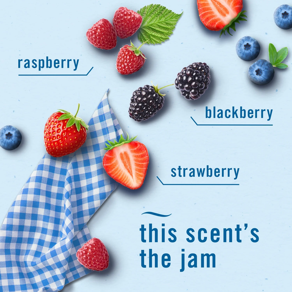 Air Freshener Spray, Odor-Fighting Room Spray, Summer Berry Picking -  2 packs - 8.8 oz per pack - plus 3 My Outlet Mall Resealable Storage Pouches