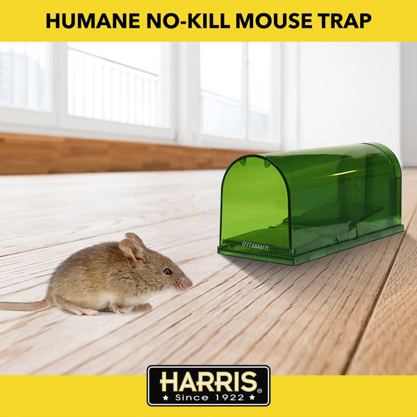 Reusable Catch & Release Humane Mouse Trap - 1 pack - plus 3 My Outlet Mall Resealable Storage Pouches