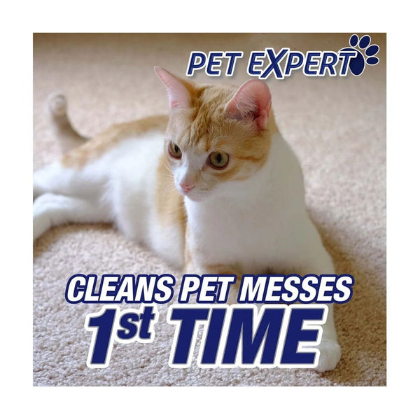 Pet High Traffic Carpet Stain Cleaner Solution and Odor Remover Foam - 1 pack - 22 oz per pack - plus 3 My Outlet Mall Resealable Storage Pouches