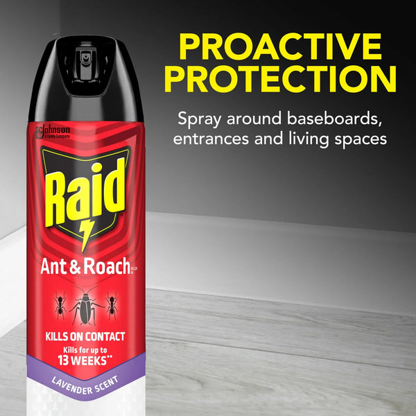 Ant & Roach Insect Count Killer, Indoor Insecticide, Residual Killing Power, Lavender Scent - 1 pack - 17.5 oz per pack - plus 3 My Outlet Mall Resealable Storage Pouches