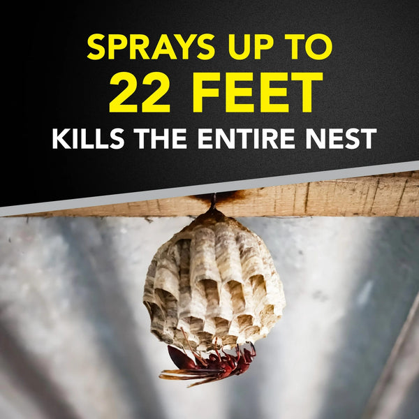 Defend Outdoor Defense System Wasp and Hornet Bug Spray, Insect Killer - 2 packs - 17.5oz per pack - plus 3 My Outlet Mall Resealable Storage Pouches