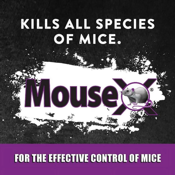 Ready-to-Use Mouse Killer Bait Trays - 2 packs - 2 Count - plus 3 My Outlet Mall Resealable Storage Pouches