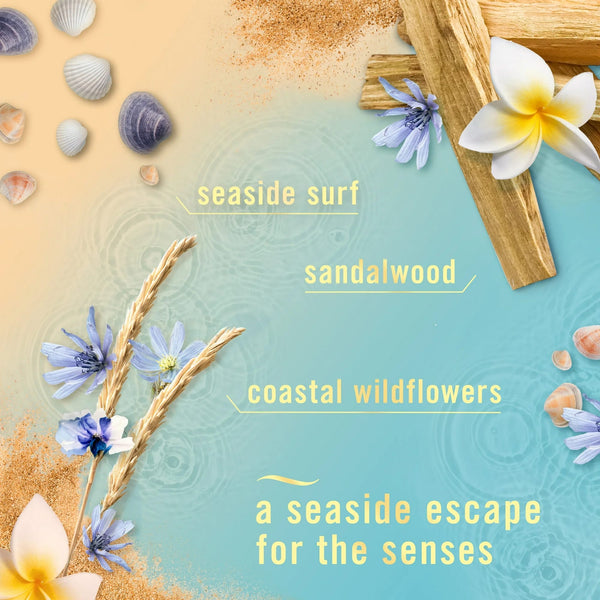 Bathroom Air Freshener, Small Spaces Odor-Fighting, Warm Ocean Breeze - 1 pack - plus 3 My Outlet Mall Resealable Storage Pouches