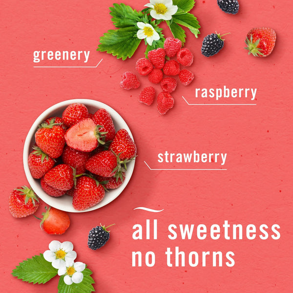 Bathroom Air Freshener, Small Spaces Odor-Fighting, Berry & Bramble, 3 Count - 1 pack - plus 3 My Outlet Mall Resealable Storage Pouches