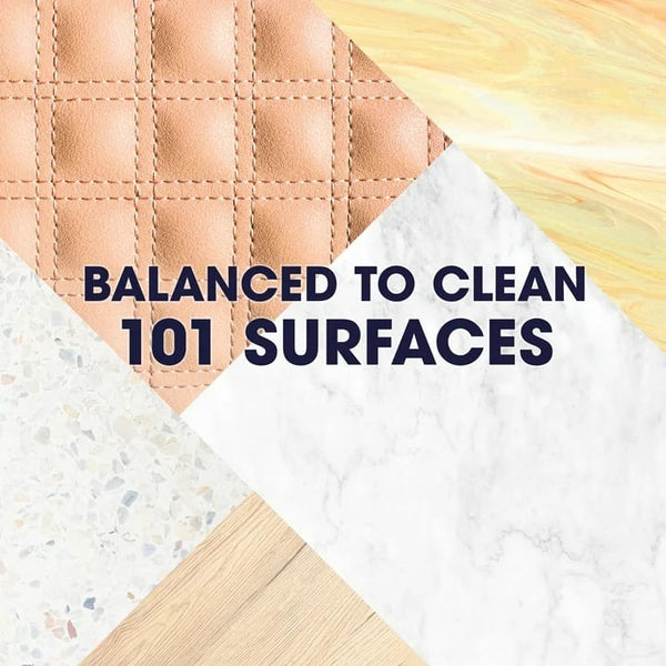 Everyday Cleaner Multi Surface, Aerosol, Lavender Scent - 1 pack - 9.7 oz per pack - plus 3 My Outlet Mall Resealable Storage Pouches