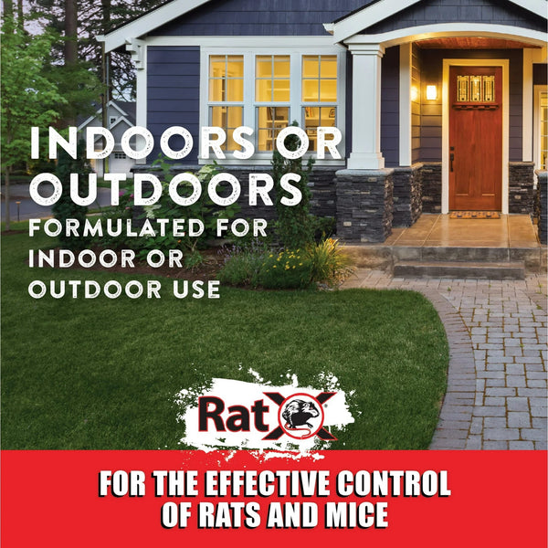 Ready-to-Use Rat Bait Trays - 1 pack - 2 Count - plus 3 My Outlet Mall Resealable Storage Pouches