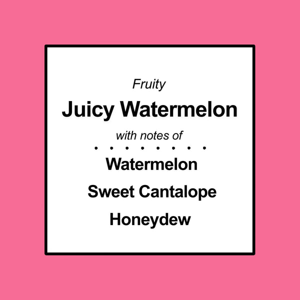 3-Wick Ombre Wrap Juicy Watermelon Candle - 2 packs - 14 oz per pack - plus 3 My Outlet Mall Resealable Storage Pouches