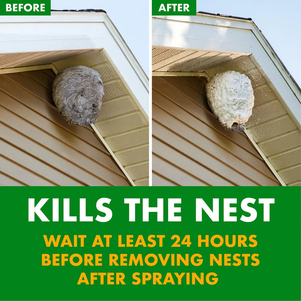 Foaming Wasp and Hornet Killer, Blanketing Foam Kills By Contact  - 1 pack - 14 oz per pack - plus 3 My Outlet Mall Resealable Storage Pouches