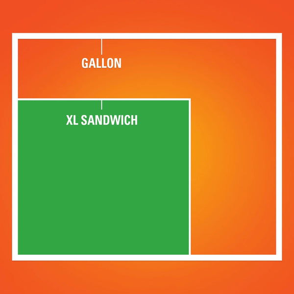 Press to Close Plastic Bags for Food Storage, XL Sandwich Size  - 2 packs -  50 Count per pack - plus 3 My Outlet Mall Resealable Storage Pouches