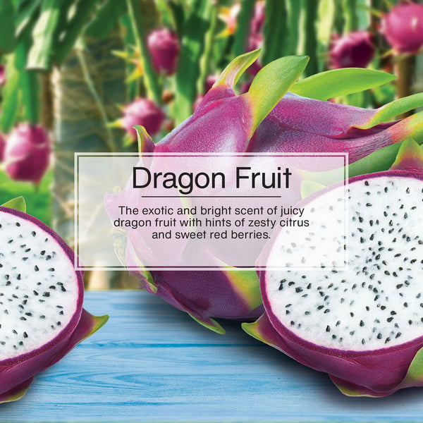 Air Freshener Dragon Fruit Fragrance 3 count - 2 packs - plus 3 My Outlet Mall Resealable Storage Pouches