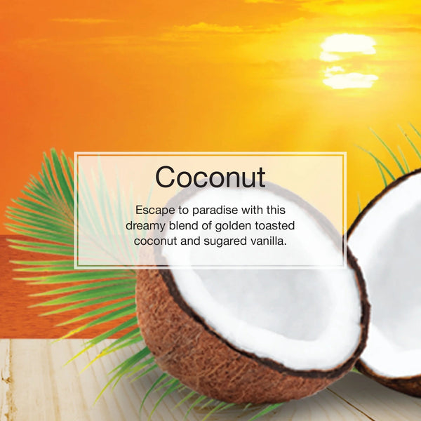 Air Freshener Coconut Fragrance- 1 pack - 3 count per pack plus 3 My Outlet Mall Resealable Storage Pouches