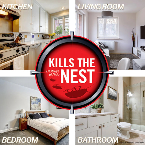 Defense System Brand, Small Roach Killing Bait and Roach Killing Gel -  1 pack - 12 count per pack plus 3 My Outlet Mall Resealable Storage Pouches