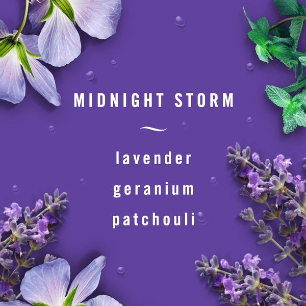 Auto Car Fabric Spray, Odor Fighting Air Freshener, Midnight Storm - 1 pack - 12.5 fl oz per pack - plus 3 My Outlet Mall Resealable Storage Pouches