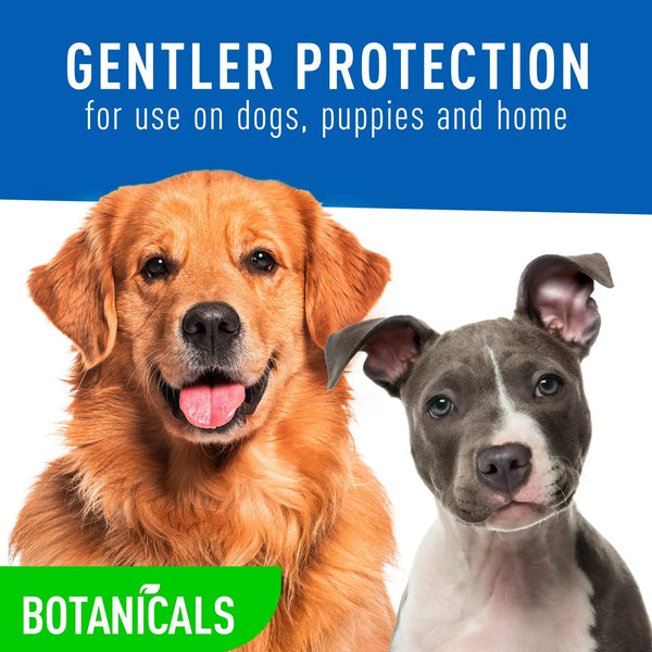 Botanicals Flea and Tick Dog and Home Spray, Plant-based Formula - 2 packs - 16 oz per pack - plus 3 My Outlet Mall Resealable Storage Pouches