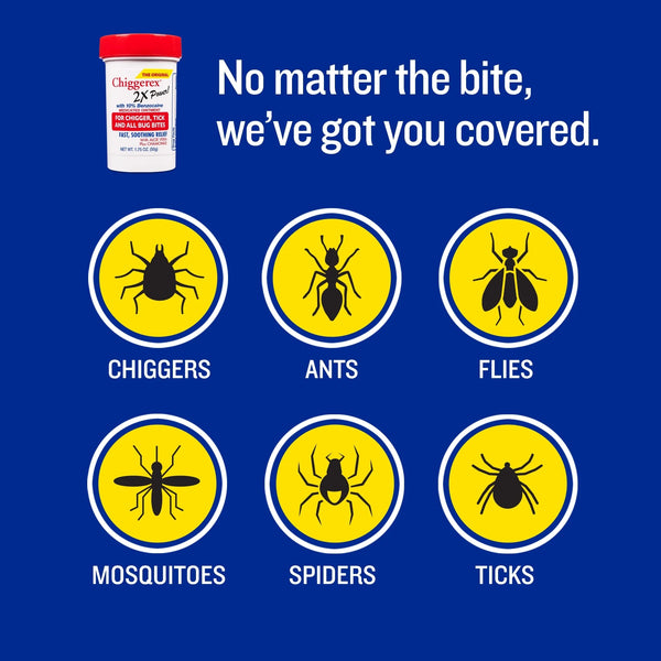2x Medicated Ointment: Chiggers, Mosquito, Bug Bites - 1 pack - 1.75 oz per pack - plus 3 My Outlet Mall Resealable Storage Pouches