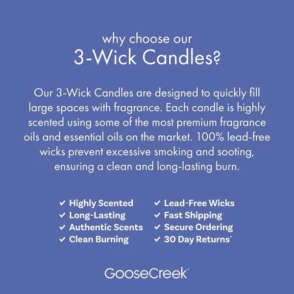 Blueberry Cheesecake Scented 3 Wick Jar Candle, Sweet - 1 pack - 14.5 oz per pack - plus 3 My Outlet Mall Resealable Storage Pouches