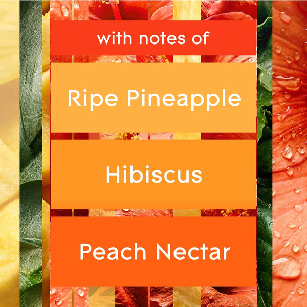 Plug-Ins Scented Oil, Hawaiian Breeze, Infused with Essential Oils, 5 Refills - 2 packs - plus 3 My Outlet Mall Resealable Storage Pouches