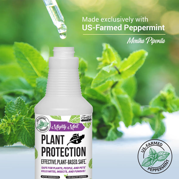Plant Protection Pest Spray Peppermint for Spider Mites, Fungus, Insects -  2 packs - 31 oz per pack - plus 3 My Outlet Mall Resealable Storage Pouches