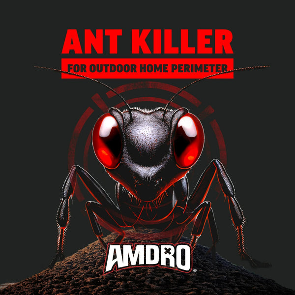 Ant Block Home Perimeter Insect Killer Bait, Powder - 1 pack - 24 oz per pack - plus 3 My Outlet Mall Resealable Storage Pouches