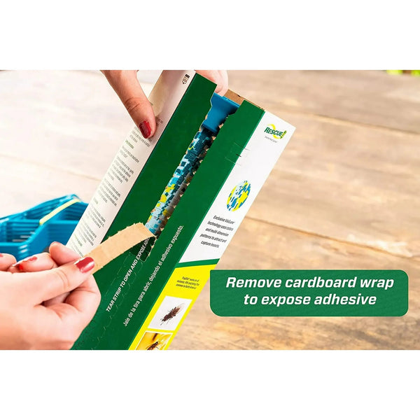 Deck Patio Fly Trapstik Outdoor Hanging Fly Trap - 1 pack - plus 3 My Outlet Mall Resealable Storage Pouches