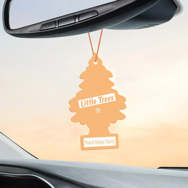 Air Freshener Peach Ginger Spritz Fragrance 3 count - 2 packs - plus 3 My Outlet Mall Resealable Storage Pouches