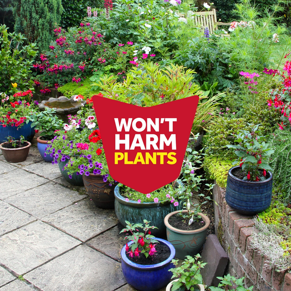 Defend Multi Insect, Indoor and Outdoor Ants, Roaches, Spiders and Flies Insect Killer Bug Spray - 1 pack - 15 oz per pack plus 3 My Outlet Mall Resealable Storage Pouches