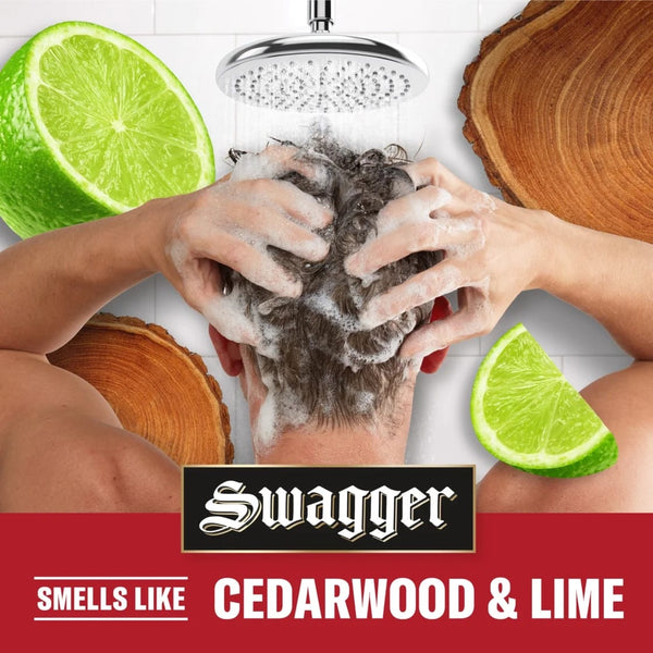 Men's 2-in-1 Shampoo and Conditioner, All Hair Types, Swagger - 1 pack - 13.5Fl oz per pack - plus 3 My Outlet Mall Resealable Storage Pouches