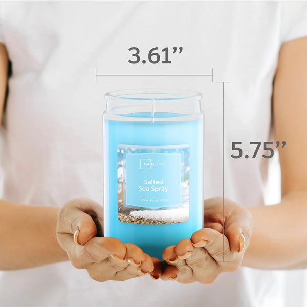 Salted Sea Spray Scented Single-Wick Large Glass Jar Candle - 1 pack - 20 oz per pack - plus 3 My Outlet Mall Resealable Storage Pouches